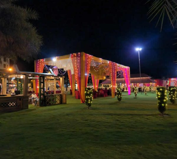 galary11